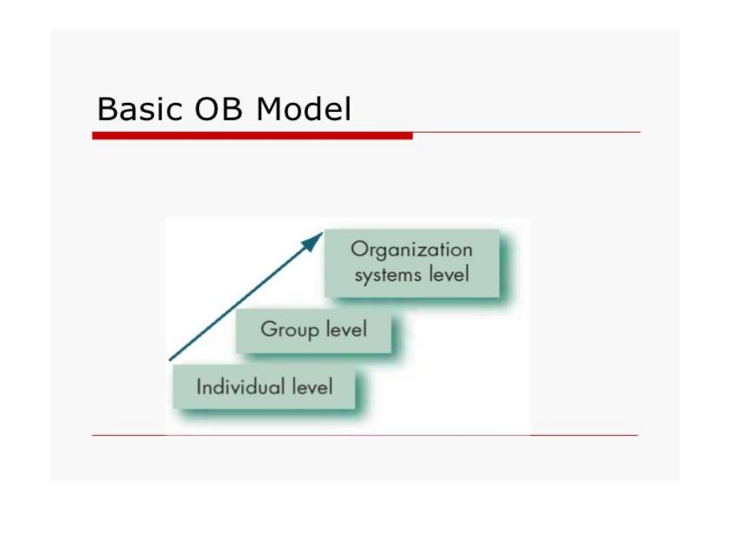 What is organizational behaviour