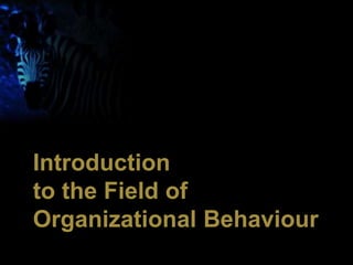 1
.
Introduction
to the Field of
Organizational Behaviour
 