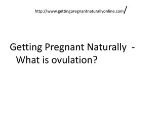 http://www.gettingpregnantnaturallyonline.com/ Getting Pregnant Naturally  -  What is ovulation? 