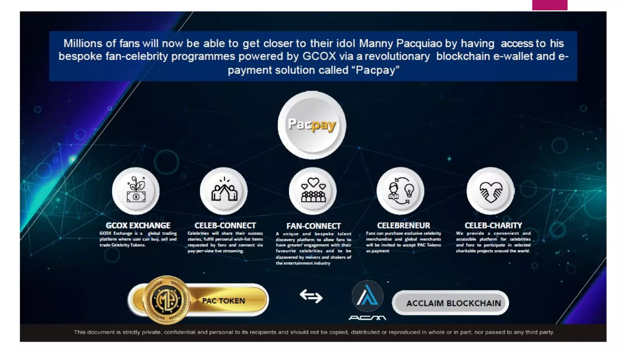 What is pac token | PDF
