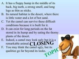 A. It has a floppy hump in the middle of its
back, big teeth, a strong smell, and long
legs as thin as sticks.
B. Its natural habitat is the desert, where there
is little water and a lot of hot sand.
C. Yet the camel can survive these difficult
conditions because it is built for it.
D. It can exist for long periods on the fat
stored in its hump and by eating the thorny
plants of the desert.
E. Indeed, a camel may look ugly but it is a
remarkable animal.
F. You may think the camel ugly, but its
qualities go far beyond its looks.
TOPIC
CLOSING
 