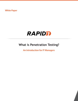 White Paper
What is Penetration Testing?
An Introduction for IT Managers
 