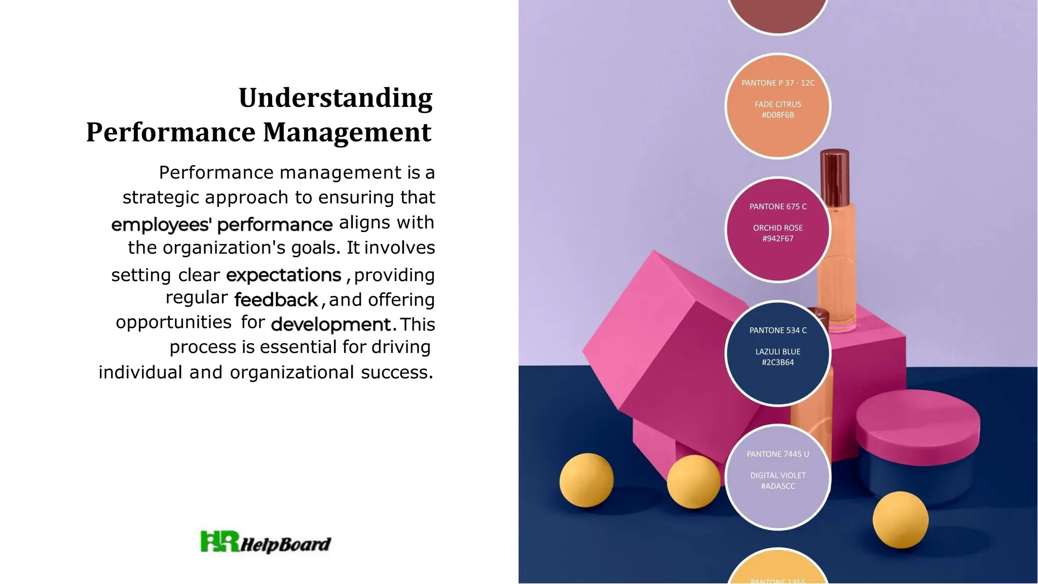 What is Performance Management in Human Resource Management | PPTX