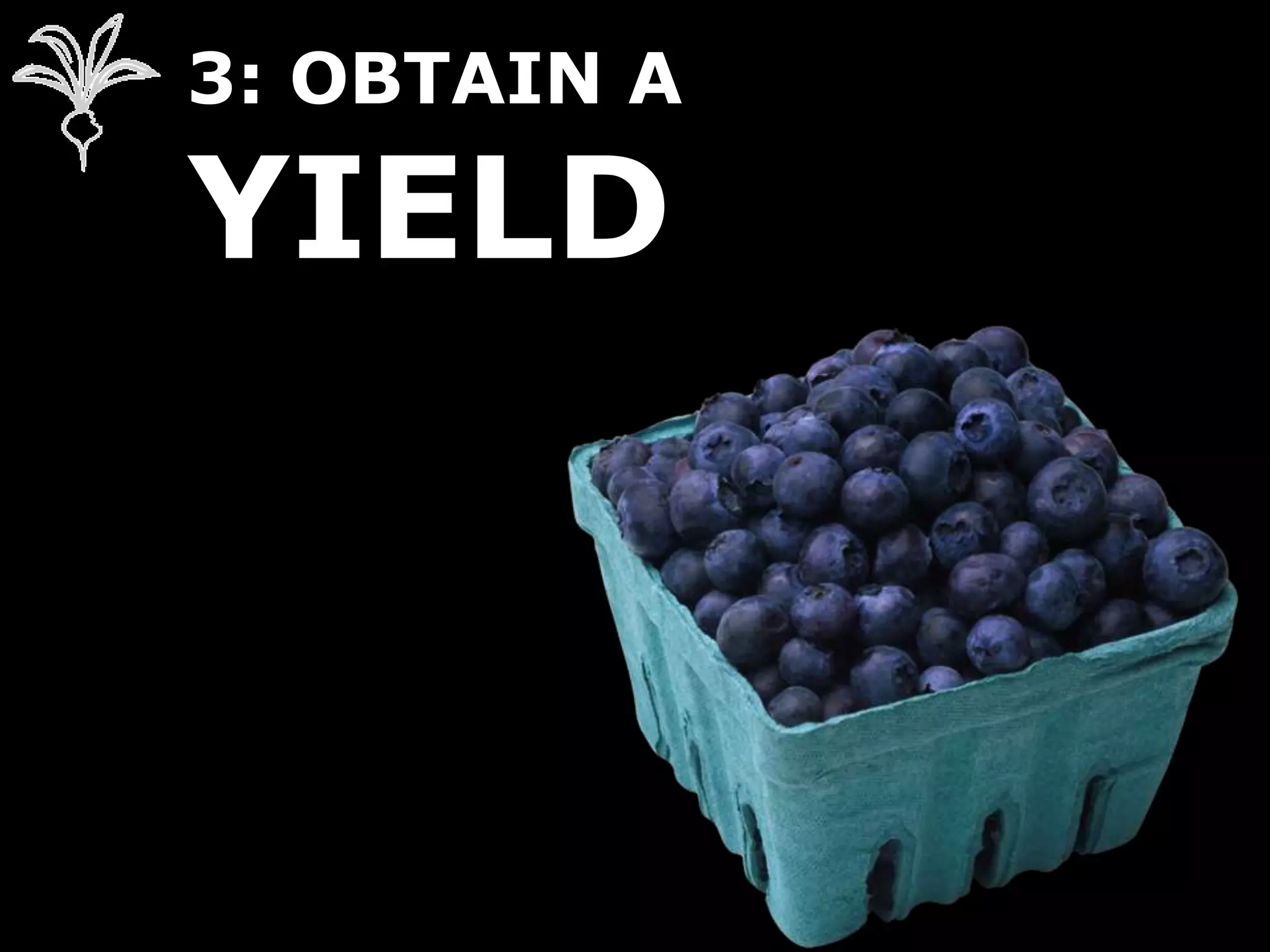 3: OBTAIN A
YIELD