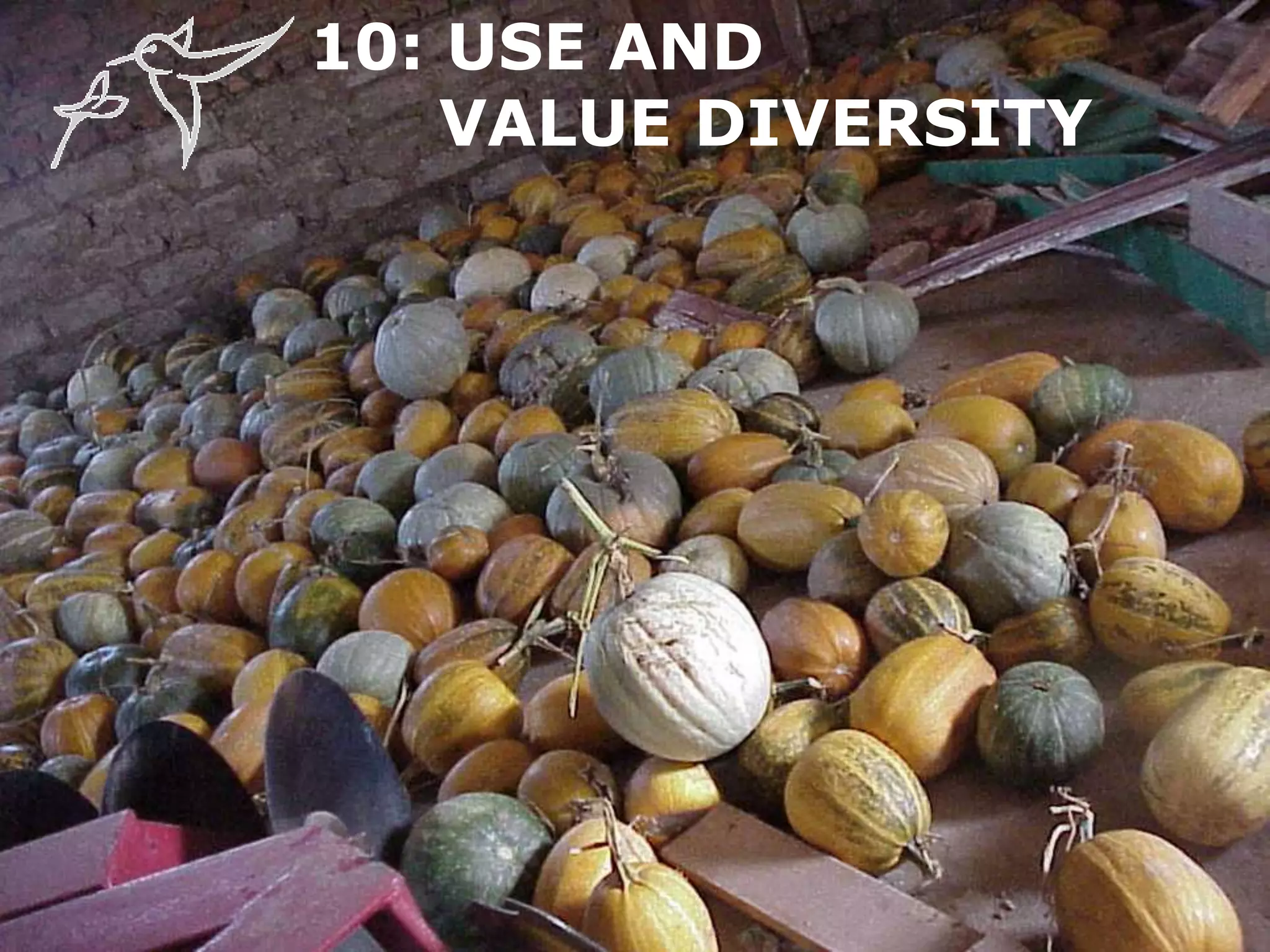 10: USE AND
VALUE DIVERSITY