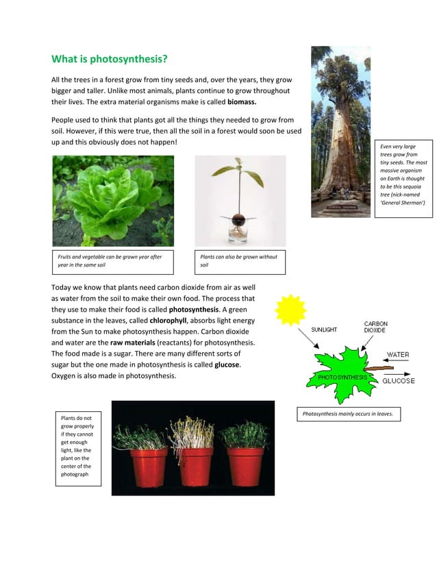 What Is Photosynthesis PDF Free Download what-is-photosynthesis-pdf-free-download