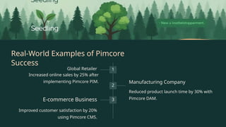 Grow Your Digital Potential with Pimcore Development Services | PPT