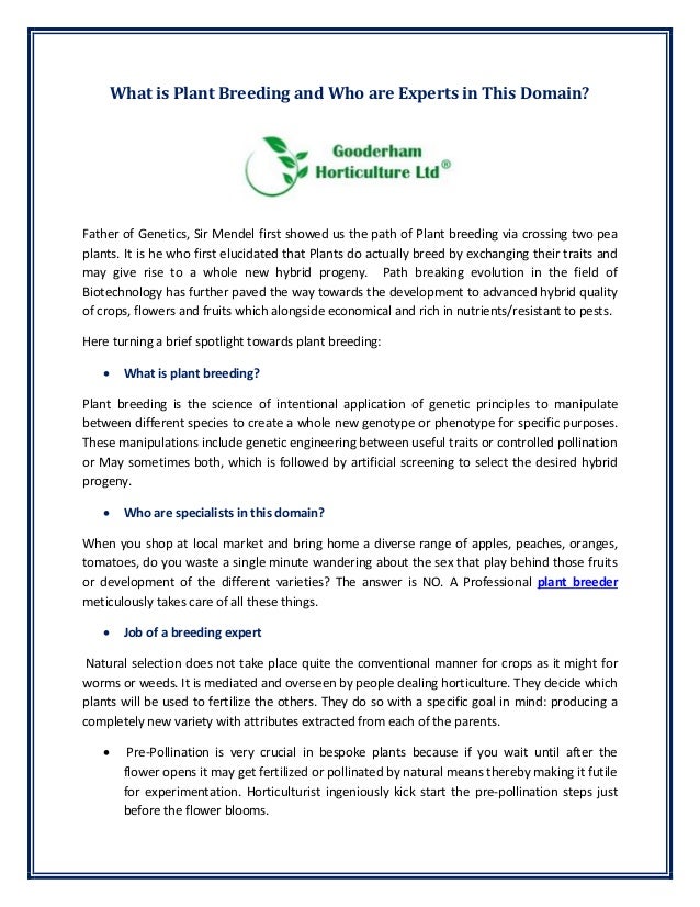 What is Plant Breeding and Who are Experts in This Domain?