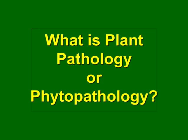 What Is Plant Pathology And Plant Disease ppt