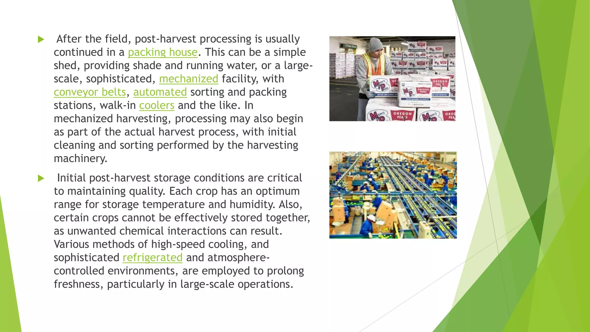  After the field, post-harvest processing is usually
continued in a packing house. This can be a simple
shed, providing shade and running water, or a large-
scale, sophisticated, mechanized facility, with
conveyor belts, automated sorting and packing
stations, walk-in coolers and the like. In
mechanized harvesting, processing may also begin
as part of the actual harvest process, with initial
cleaning and sorting performed by the harvesting
machinery.
 Initial post-harvest storage conditions are critical
to maintaining quality. Each crop has an optimum
range for storage temperature and humidity. Also,
certain crops cannot be effectively stored together,
as unwanted chemical interactions can result.
Various methods of high-speed cooling, and
sophisticated refrigerated and atmosphere-
controlled environments, are employed to prolong
freshness, particularly in large-scale operations.
 