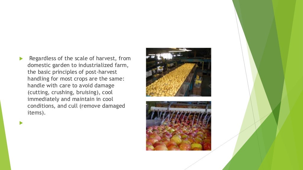 What is post harvest technology