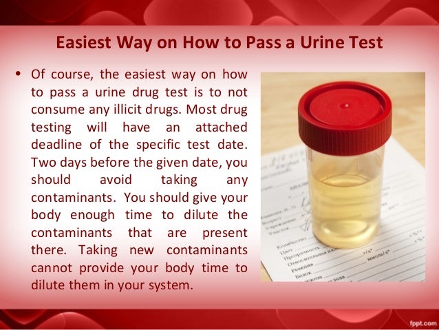 drinking water to pass drug test drinking water to pass drug test