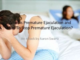 What is Premature Ejaculation and
How To Stop Premature Ejaculation?
An eBook by Aaron Swartz
 