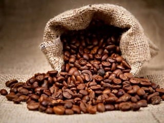 What Is Premium Coffee?