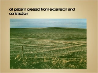 Soil pattern created from expansion and contraction 