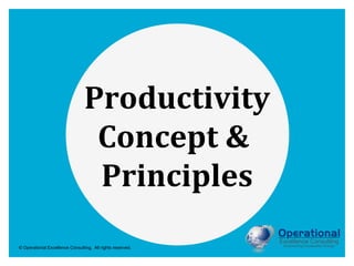 © Operational Excellence Consulting. All rights reserved.
Productivity
Concept &
Principles
 