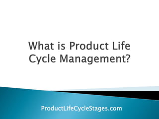 ProductLifeCycleStages.com
 