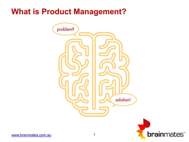 What Is Product Management 