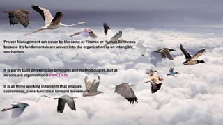 Project Management can never be the same as Finance or Human Resources
because it’s fundamentals are woven into the organization as an intangible
mechanism.
It is all three working in tandem that enables
coordinated, cross-functional forward movement.
It is partly built on execution principles and methodologies, but at
its core are organizational PRACTICES.
 