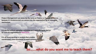 So…….what do you want me to teach them?
Project Management can never be the same as Finance or Human Resources
because it’s fundamentals are woven into the organization as an intangible
mechanism.
It is all three working in tandem that enables
coordinated, cross-functional forward movement.
It is partly built on execution principles and methodologies, but at
its core are organizational PRACTICES.
 