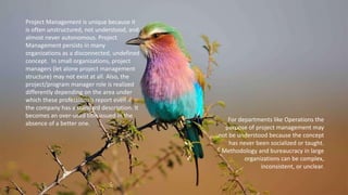 Project Management is unique because it
is often unstructured, not understood, and
almost never autonomous. Project
Management persists in many
organizations as a disconnected, undefined
concept. In small organizations, project
managers (let alone project management
structure) may not exist at all. Also, the
project/program manager role is realized
differently depending on the area under
which these professionals report even if
the company has a standard description. It
becomes an over-used title issued in the
absence of a better one.
For departments like Operations the
purpose of project management may
not be understood because the concept
has never been socialized or taught.
Methodology and bureaucracy in large
organizations can be complex,
inconsistent, or unclear.
 