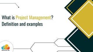 What is Project Management?
Definition and examples
 