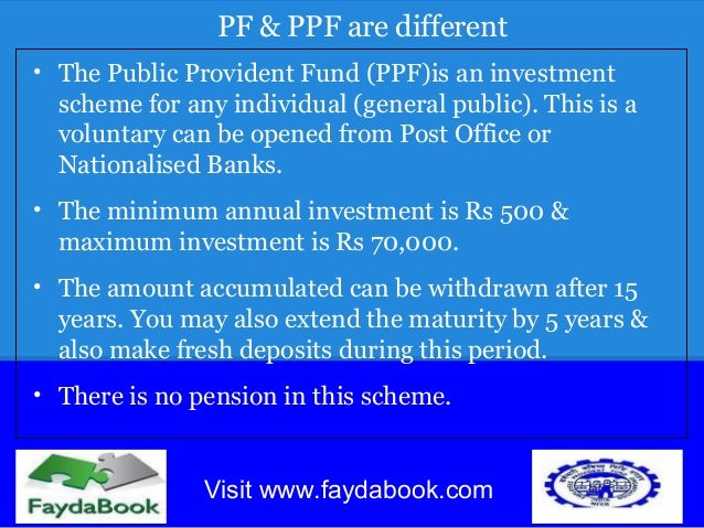 What Is Provident Fund All You Need To Know what-is-provident-fund-all-you-need-to-know