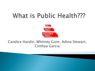 What is Public Health??? Candice Hardin, Whitney Gore, Adina Stewart, Cinthya Garcia 