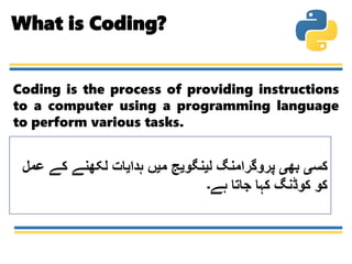 What is Python? | PPTX