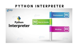 What is Python Interpreter.pptx