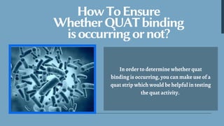 HowToEnsure
WhetherQUATbinding
isoccurringornot?
In order to determine whether quat
binding is occurring, you can make use of a
quat strip which would be helpful in testing
the quat activity.
 