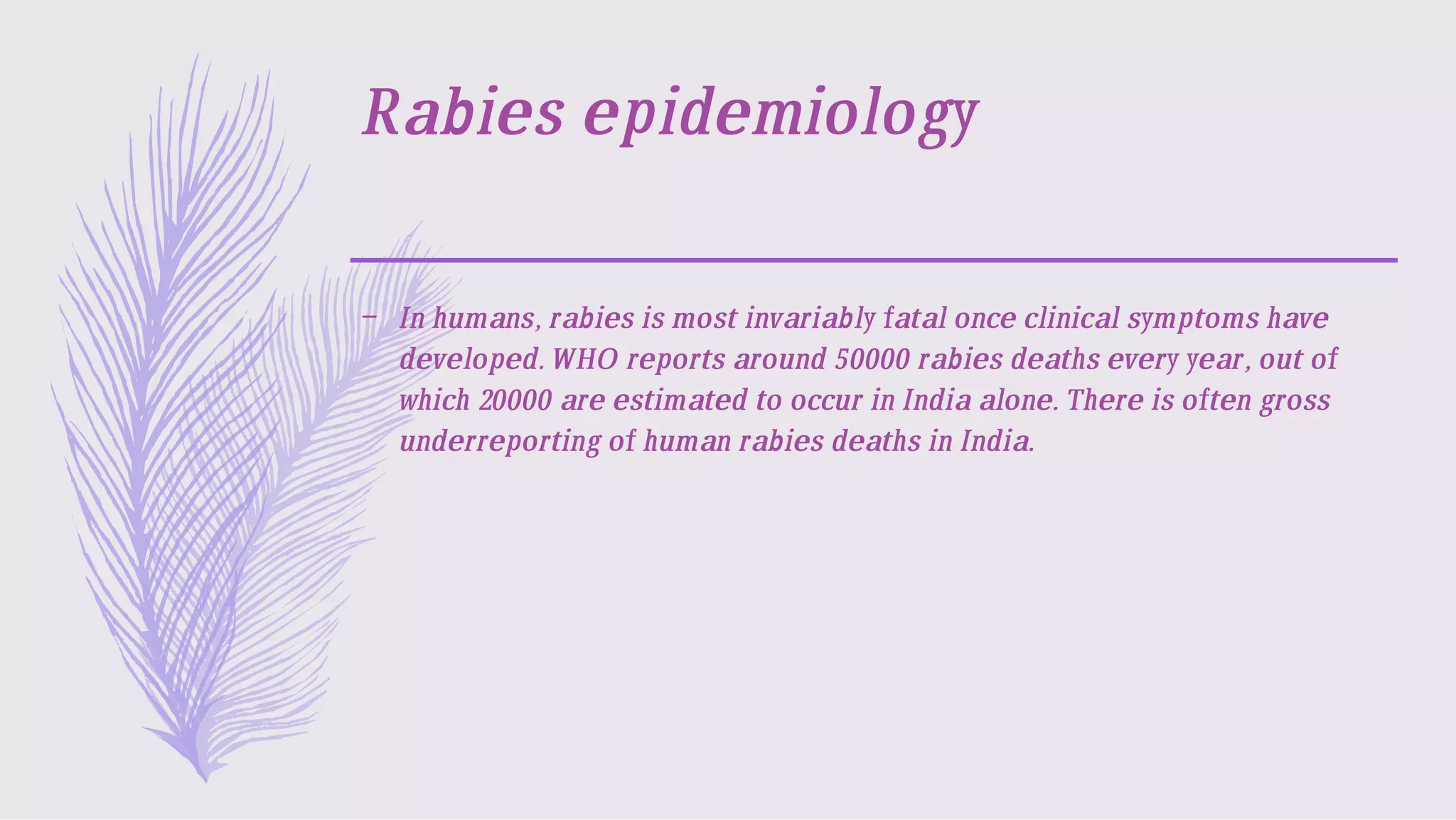 What is rabies | PDF