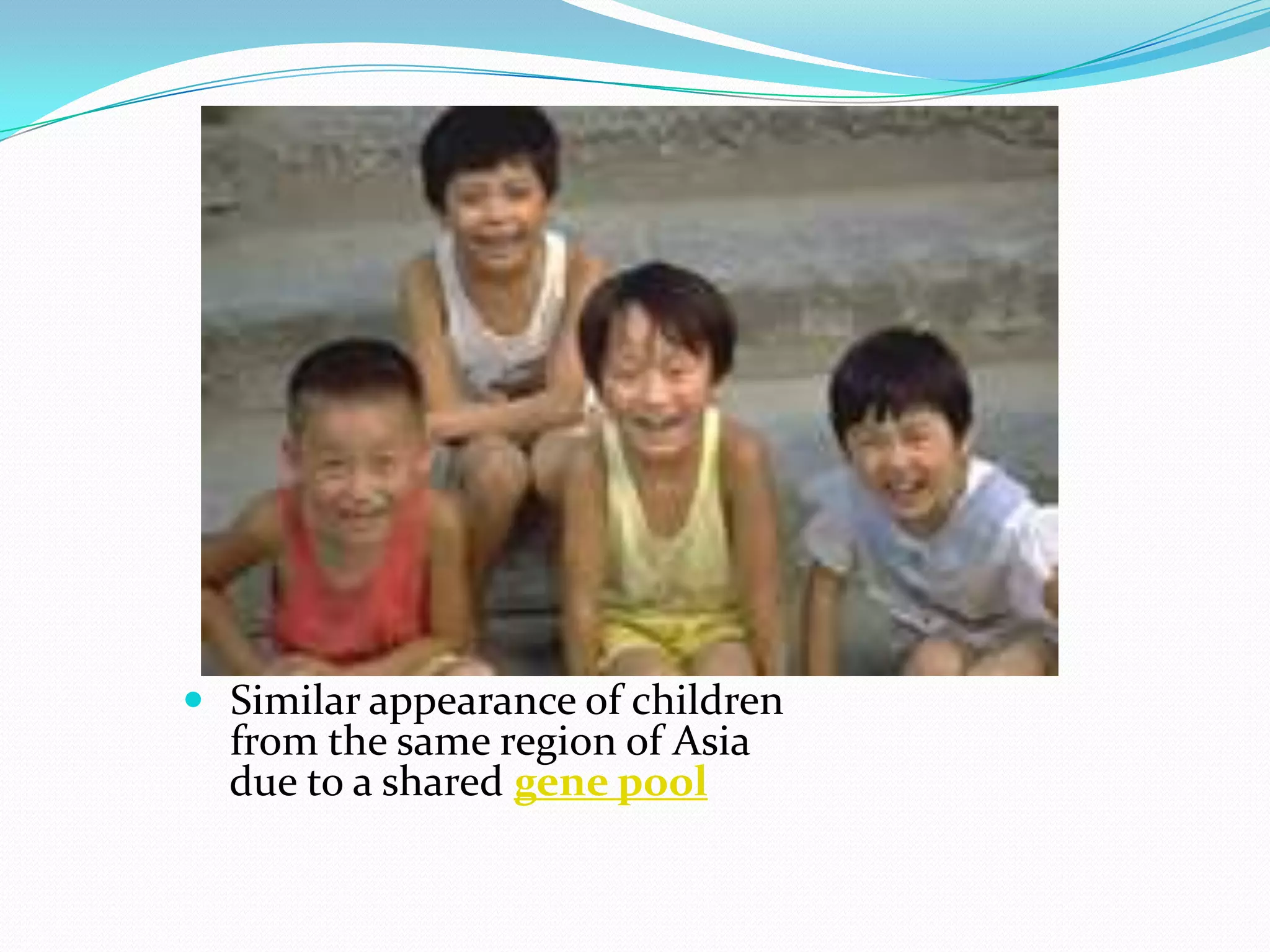  Similar appearance of children from the same region of Asia due to a shared gene pool