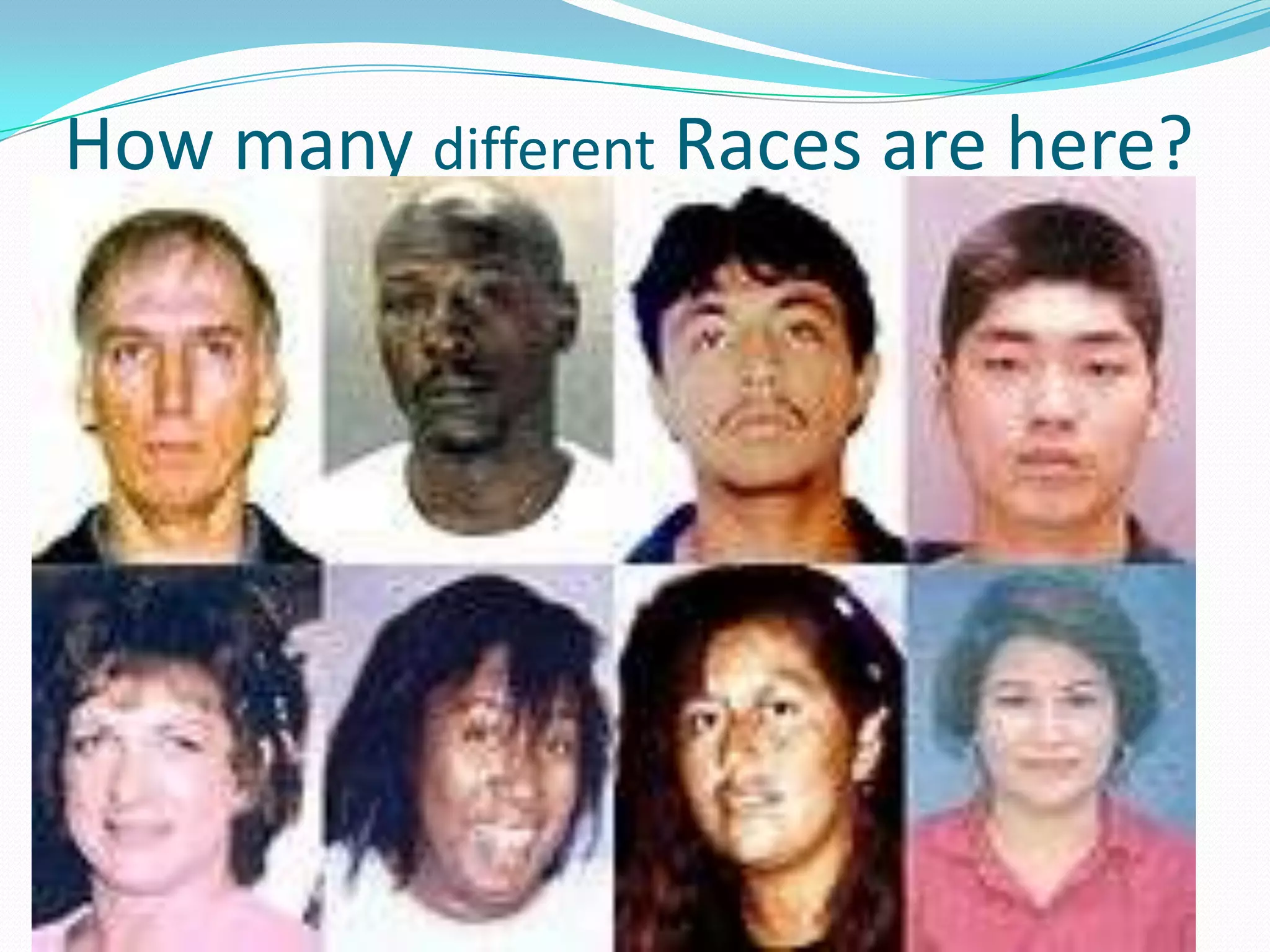How many different Races are here?