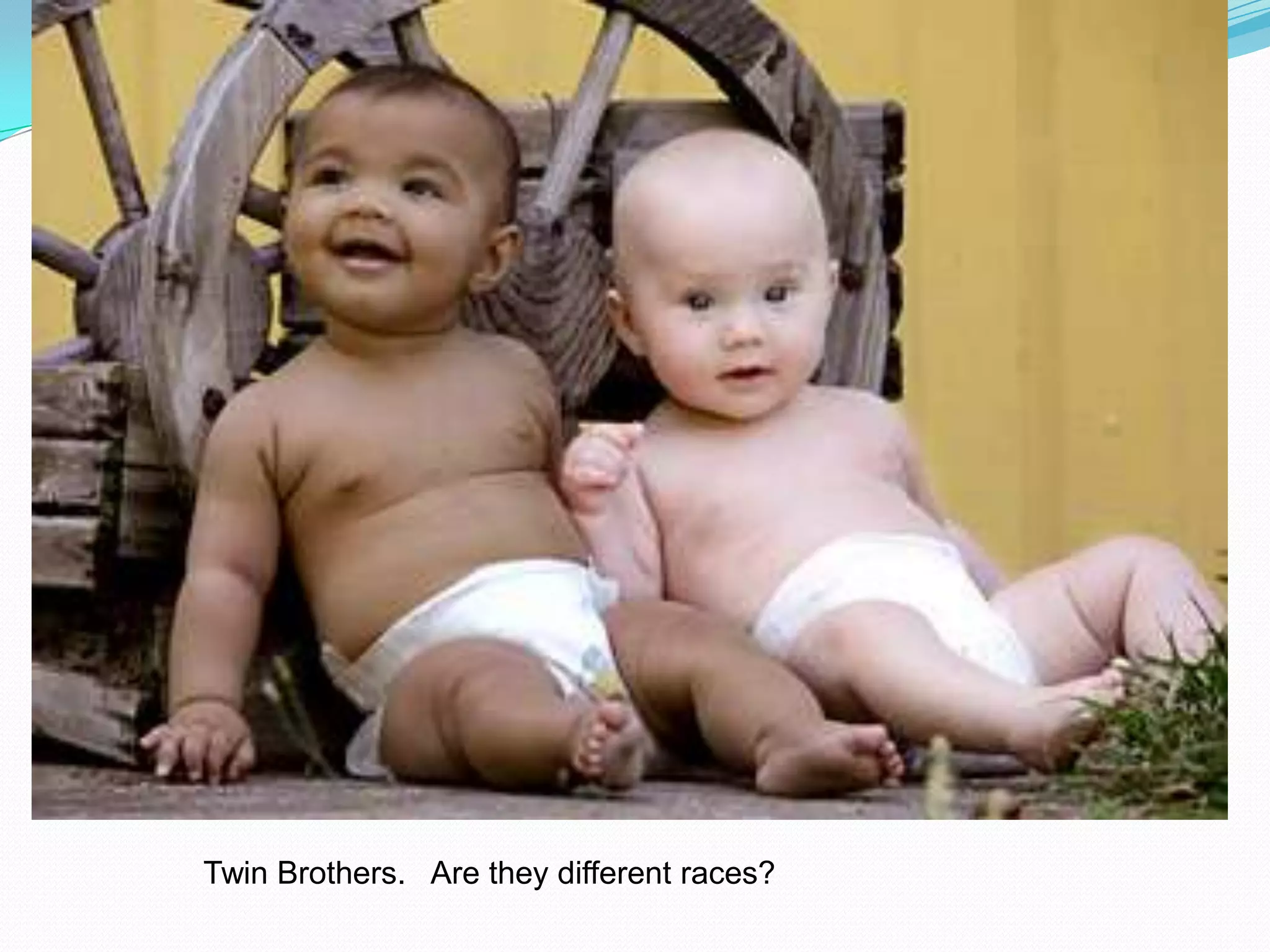 Twin Brothers.   Are they different races?