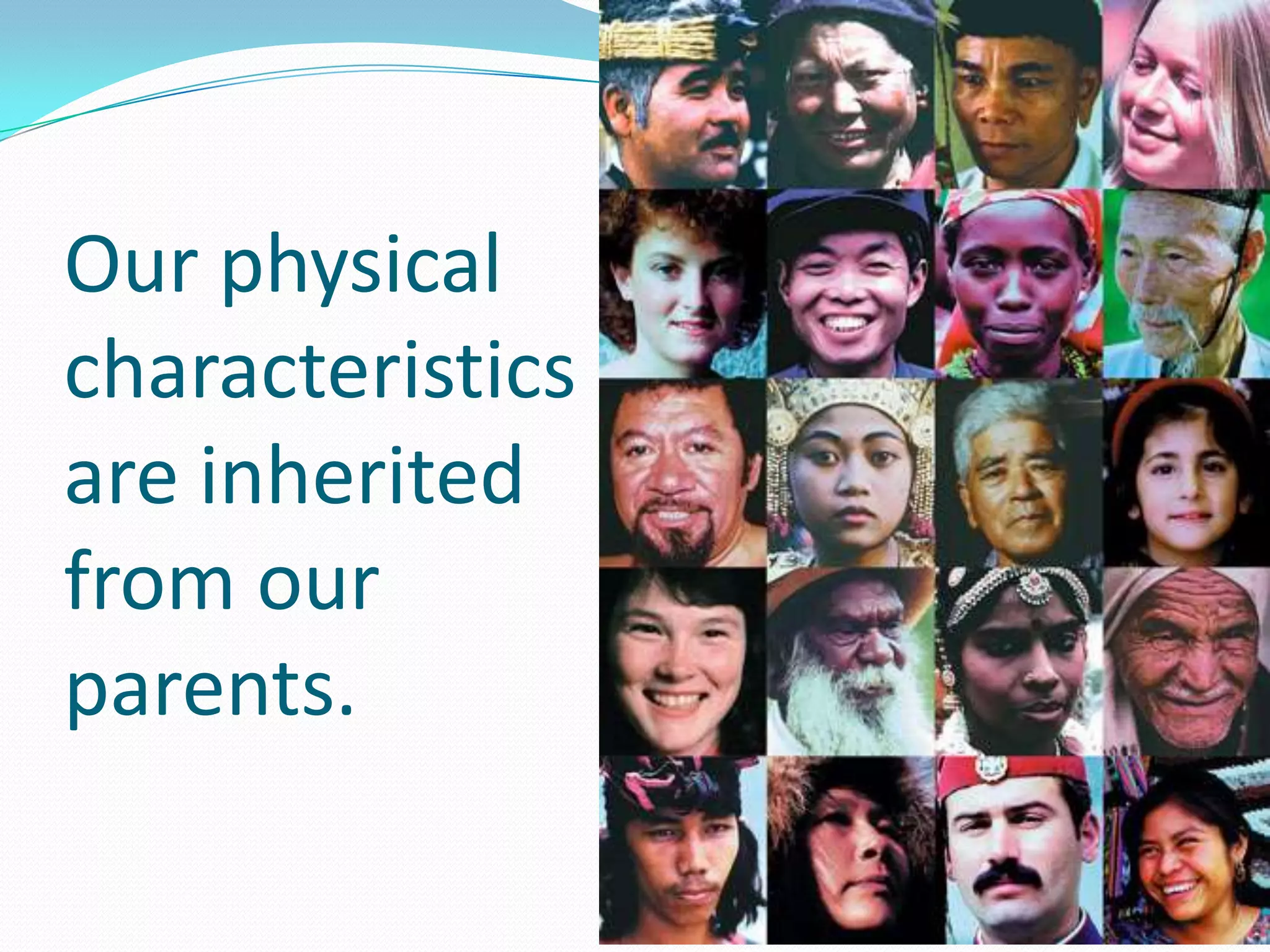 Our physical characteristics  are inherited from our parents.  