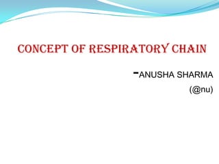 CONCEPT OF RESPIRATORY CHAIN

                 -ANUSHA SHARMA
                          (@nu)
 