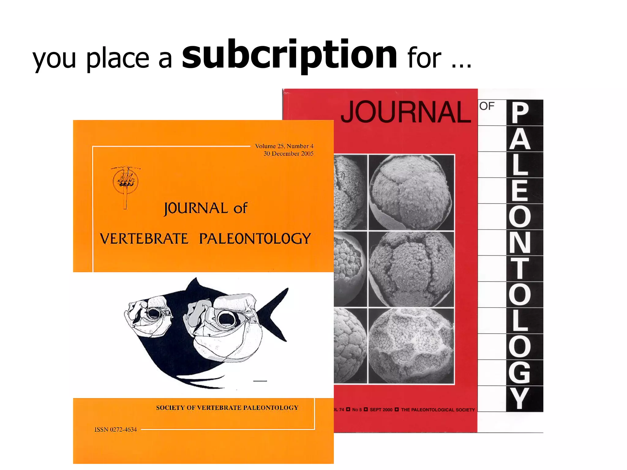 you place a  subcription  for … 