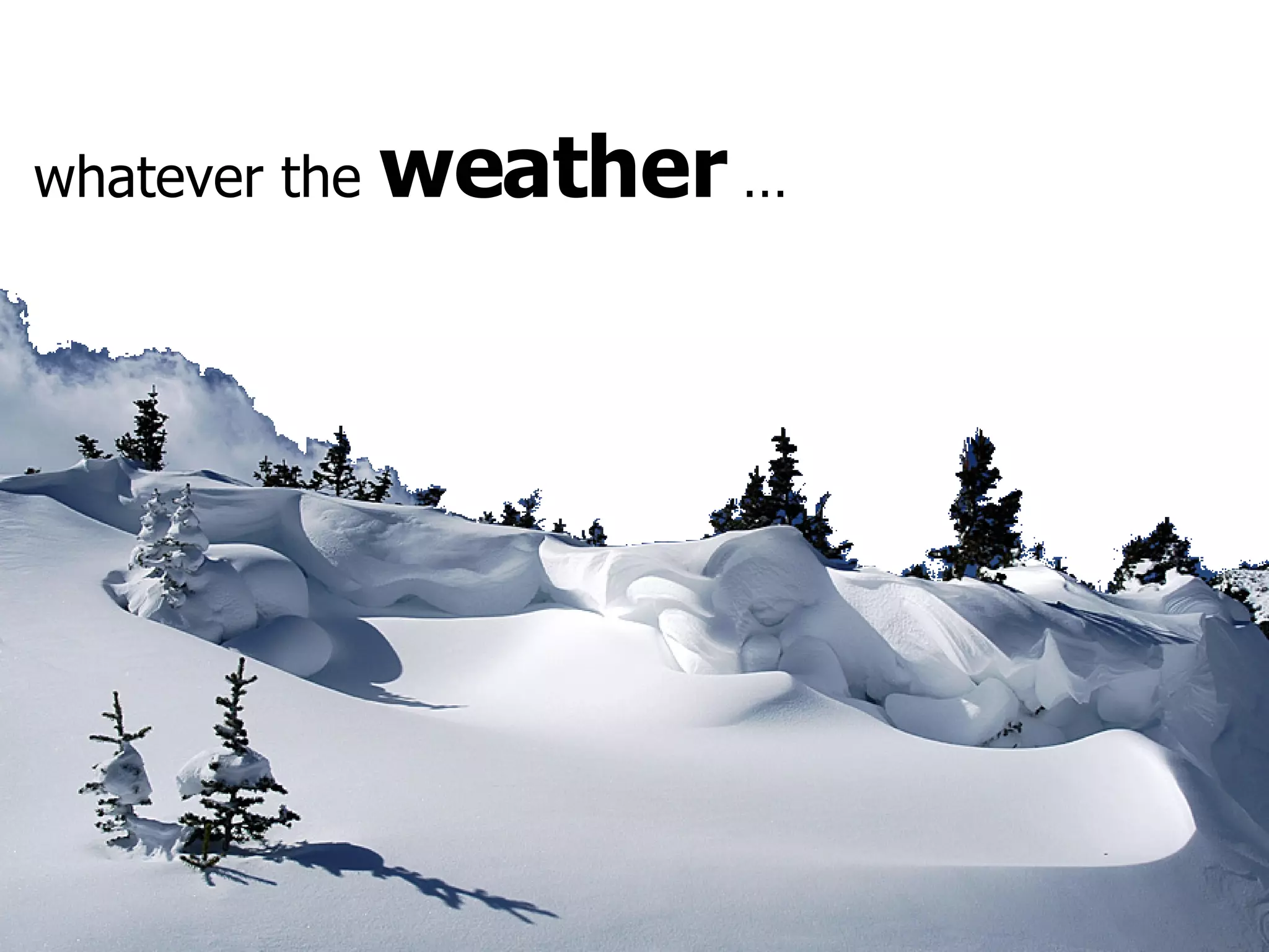 whatever the  weather  … 