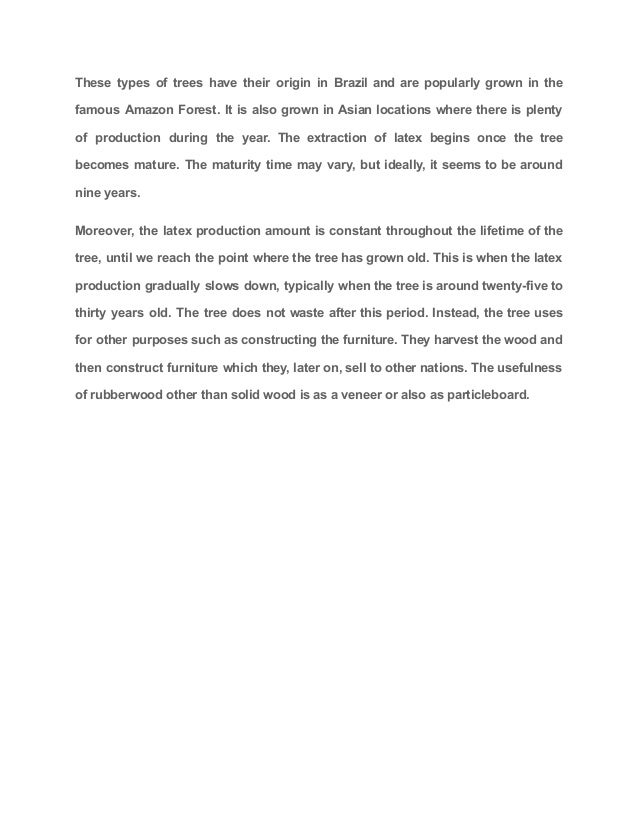 What is rubberwood a complete guide to know