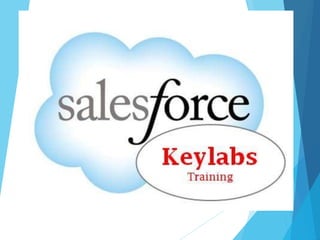 Salesforce Online Training Slide 19