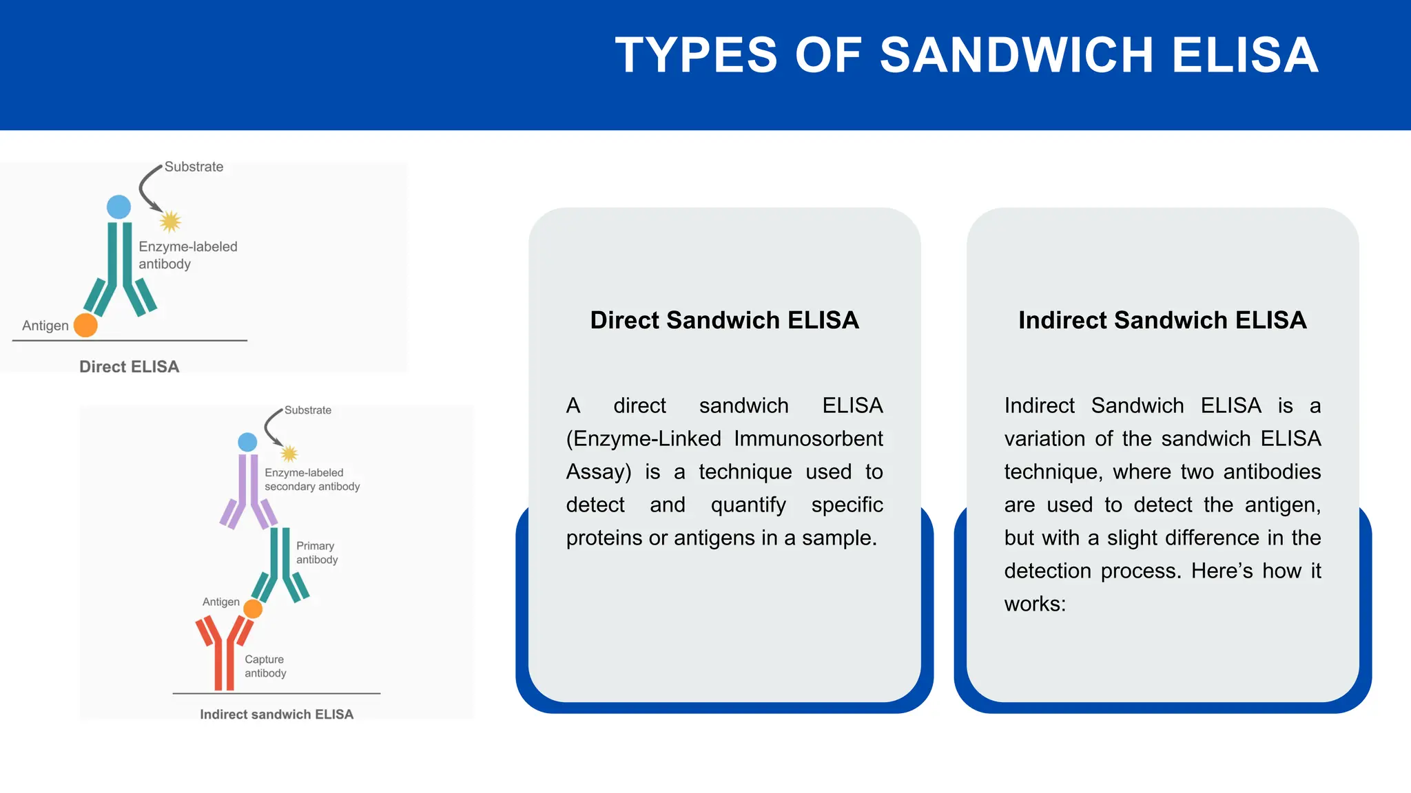 What is Sandwich ELISA - CytoScientific | PPT