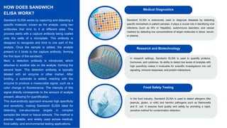 What is Sandwich ELISA - CytoScientific | PDF