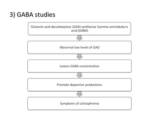 3) GABA studies
 
