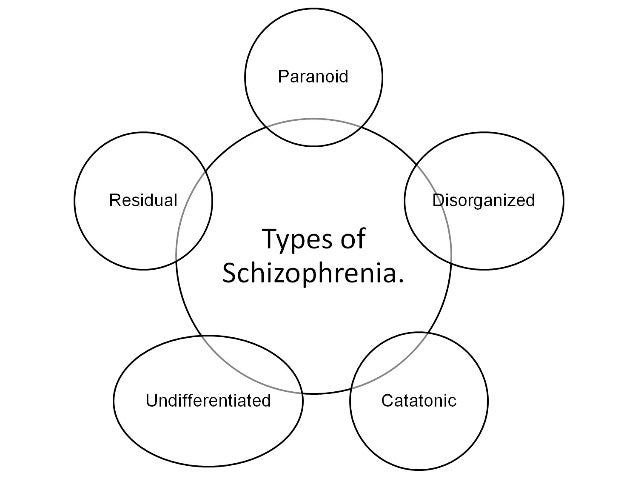 case study on schizophrenia paranoid type 2018-7-20 schizophrenia ( disorganized type / hebephrenic ) share this patients with this type of schizophrenia are unable to start a unlike paranoid schizophrenia,. case study on schizophrenia paranoid type 2018-7-20 schizophrenia ( disorganized type / hebephrenic ) share this patients with this type of schizophrenia are unable to start a unlike paranoid schizophrenia,.
