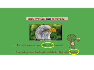 Observation and Inference
• The eagle’s beak is very sharp( Observation/ Inference ).
• It uses its beak to tear flesh into bite sized chunks ( Observation/ Inference ).
 