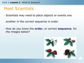 Unit 1 Lesson 1 What Is Science?
Meet Scientists
• Scientists may need to place objects or events one
another in the correct sequence in order.
• How do you know the order, or correct sequence, for
the images below?
 