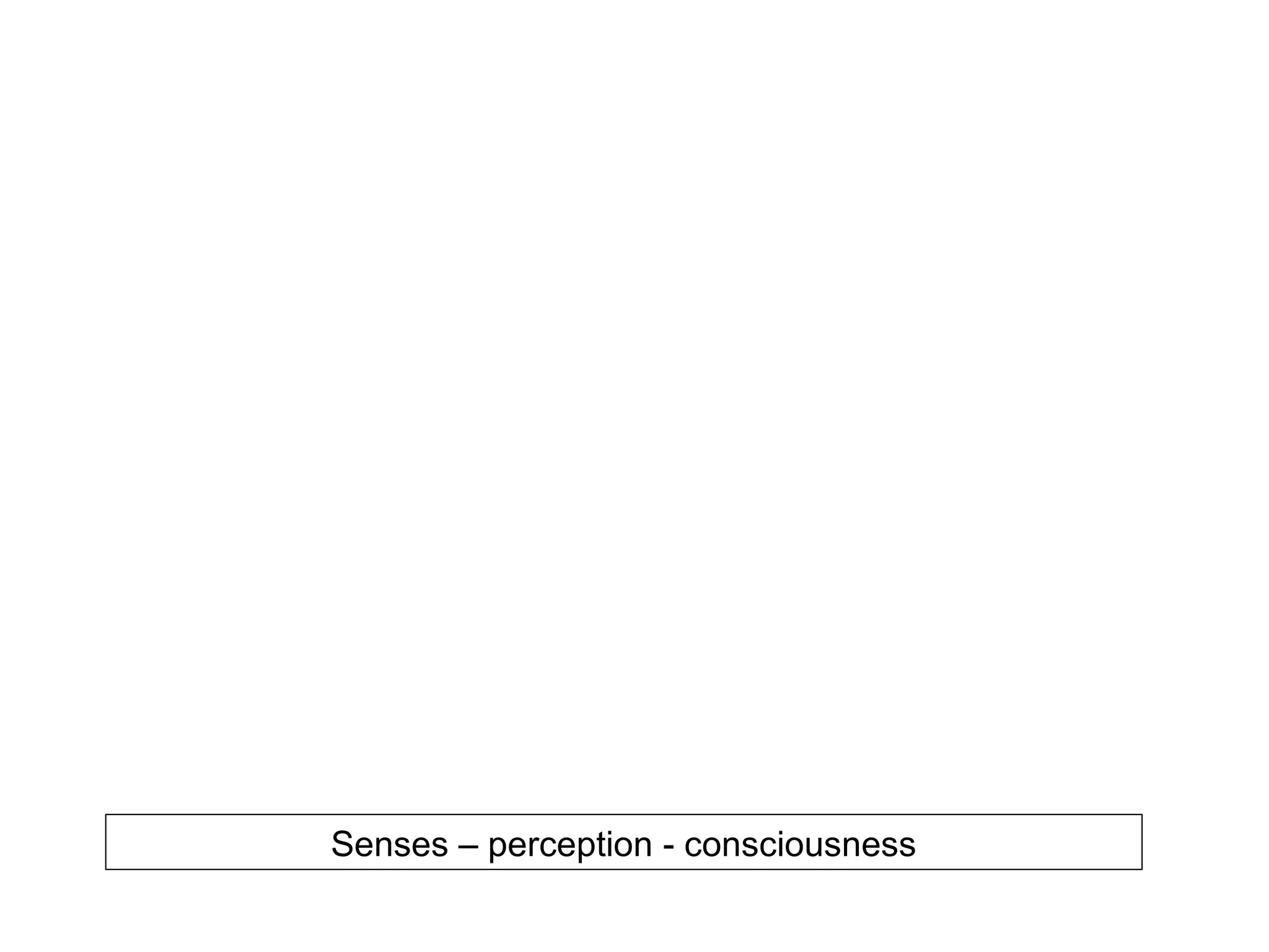 Senses – perception - consciousness
 