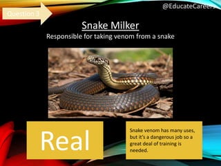 @EducateCareers
Snake Milker
Responsible for taking venom from a snake
Real
Question 3
Snake venom has many uses,
but it’s a dangerous job so a
great deal of training is
needed.
 