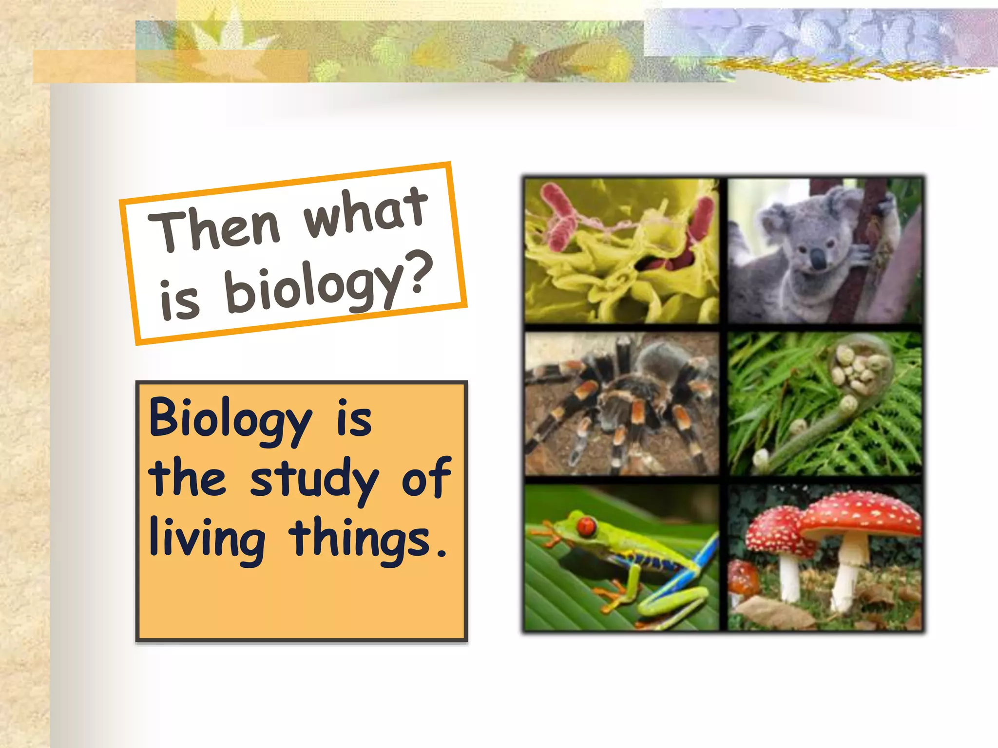 Bio-living, logy-to study
 